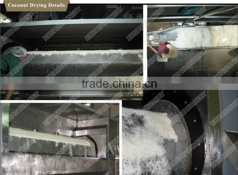 KODI High Quality Desiccated Coconut Belt Drying Machine