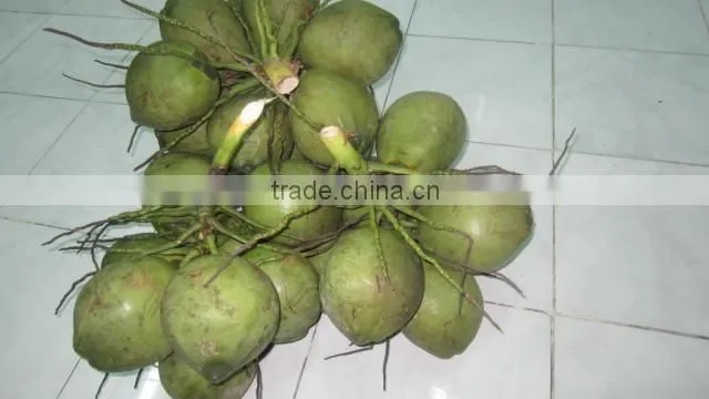 PRICE OF DESICCATED COCONUT
