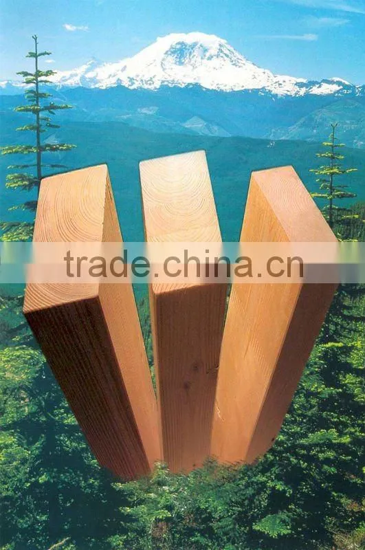 wooden windows with aluminum cladding