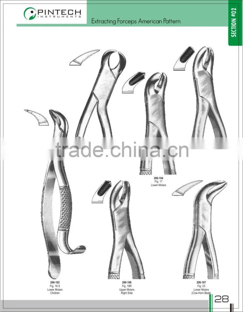 Dental Extraction Forceps