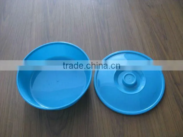 plastic cantainer mould