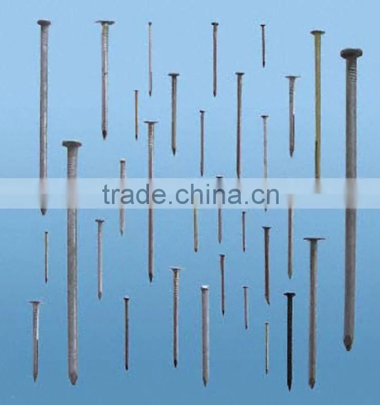 common nail/ common wire nail/common iron nails