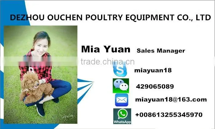 Best quality ouchen incubateur 500 oeufs egg incubator setter incubator