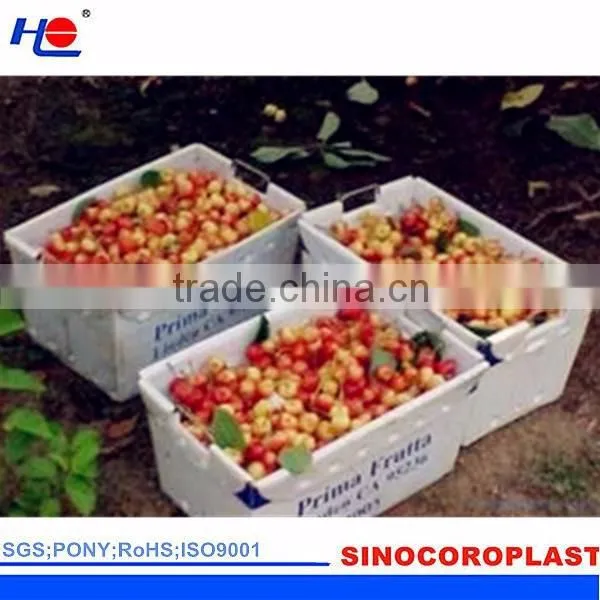 Plastic Vegetable Packaging Box