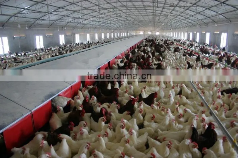 2014 hot-sale free layer feeding system