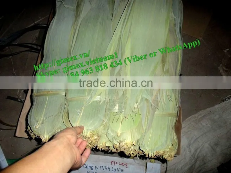 Fresh big size bamboo leaf