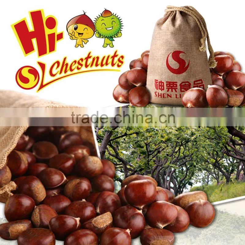 IQF Chestnuts Quick Freezing Bulk Chestnuts for sale