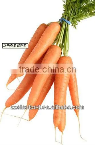 Canned Food Mixed Vegetable Tin Cans for Food Canning