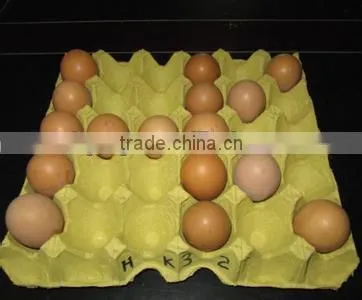 egg tray pulp molding machine widely used all over the world