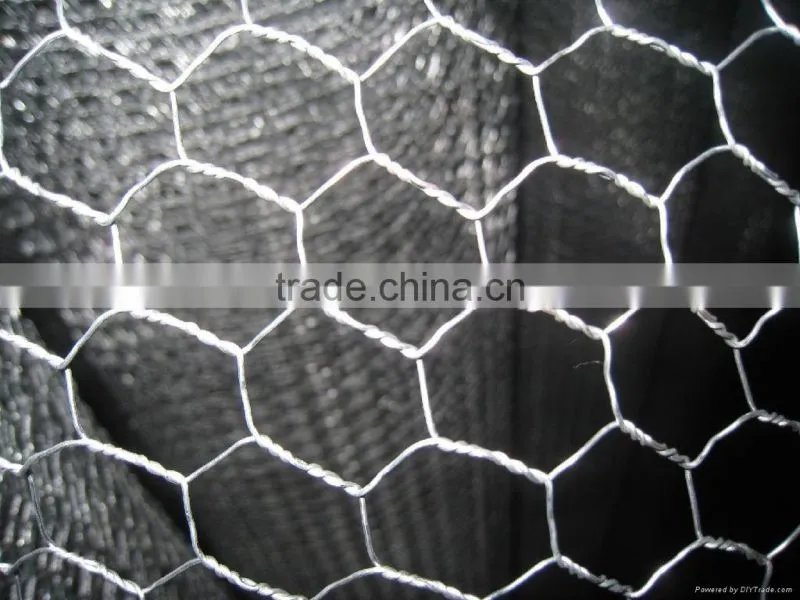 anping hexagonal wire mesh