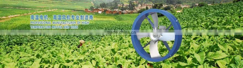 China Manufacturer Axial Ventilating Fans
