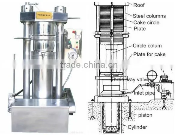 Agriculture processing Machinery sesame oil press machine in stock
