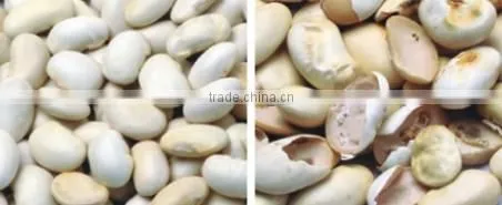 Nut Color Sorter/Best Price Cereal CCD Nut Belt Color Sorter In China Manufacturer