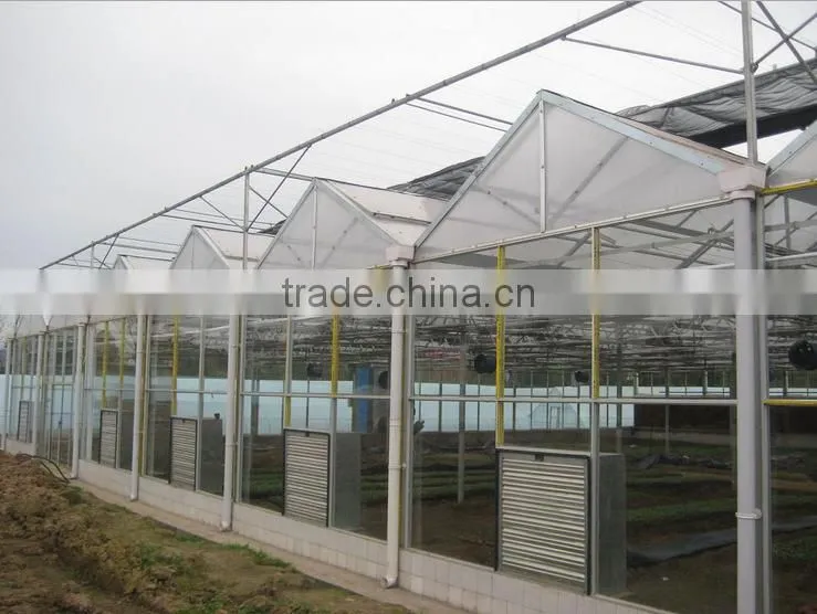Clear tempered glass for greenhouse with factory price and CCC CE ISO