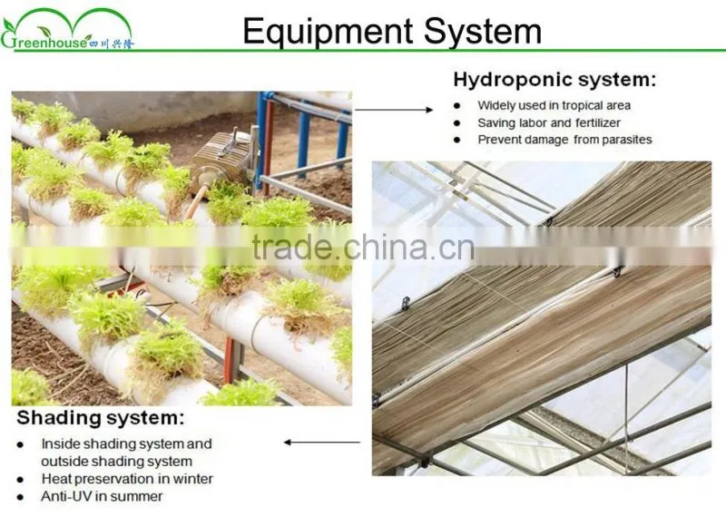 Double Inflatable Film Prefabricated Greenhouse With Hydroponic System