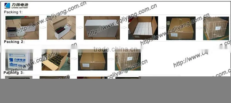 LiYang Dry Charged Tricycle Battery 12V 28A