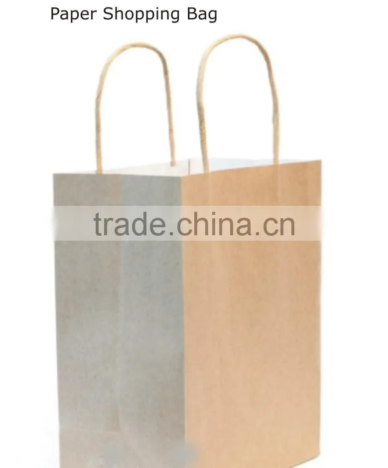 Twisted Paper Handles Brown Paper Bag
