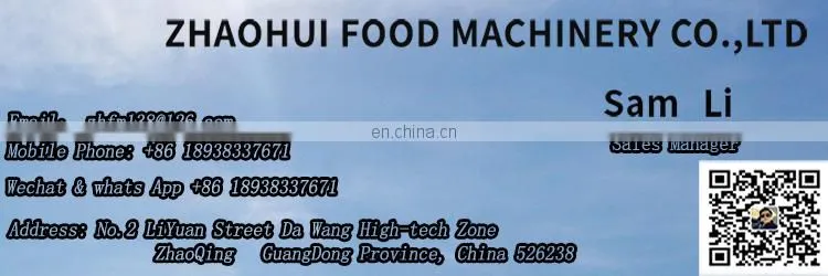 home use ozone mushroom lettuce spinach leaf vegetable washing machine