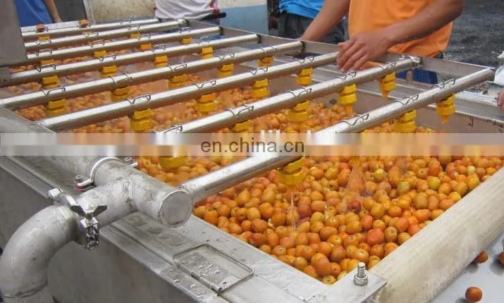 Fruits and Vegetables Washing machine, air and water bubble vegetable washing machine
