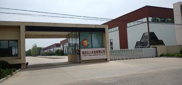 Linyi Liren Wood Co.,Ltd company overview - view 1