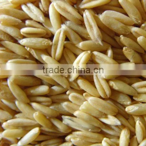 organic oats