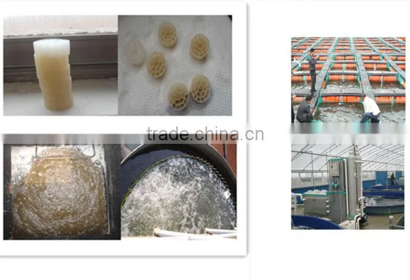 Excellent quality Biofilter media / MBBR biofilter media for water treatment