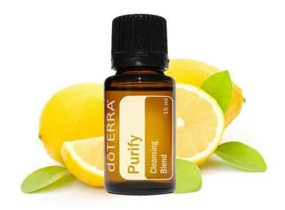 1000-4000L Patchouli Essential Oil Essential Oil Essential Oil Distillation Plant