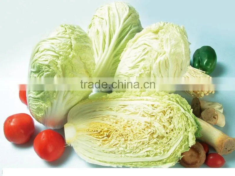 Full automatic Vortex washing processing machine