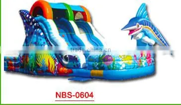 New Point Cheap inflatable double water slides, water slide for inflatable pool