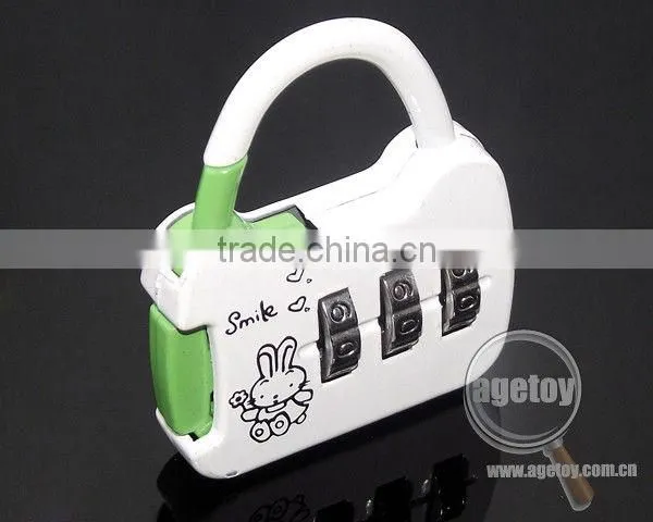 Custom Combination Lock