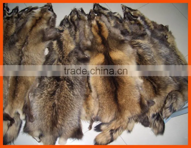 tanned raccoon fur skin