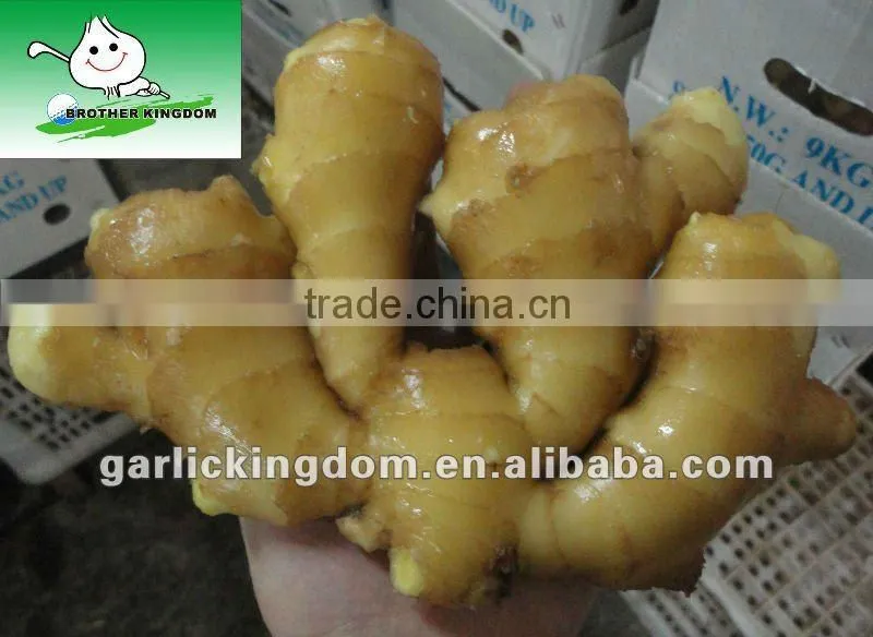 new crop half air dry ginger for sale