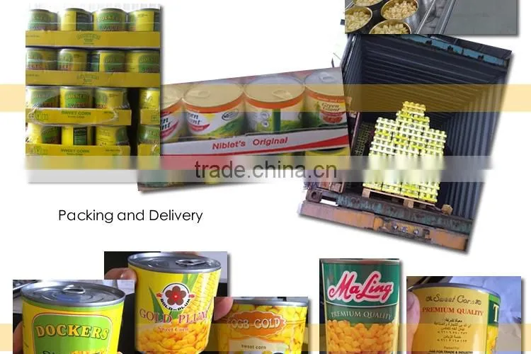 CANNED SWEET CORN HIGH QUALITY super sweet canned food NO GMO TAIWAN yellow corn raw material