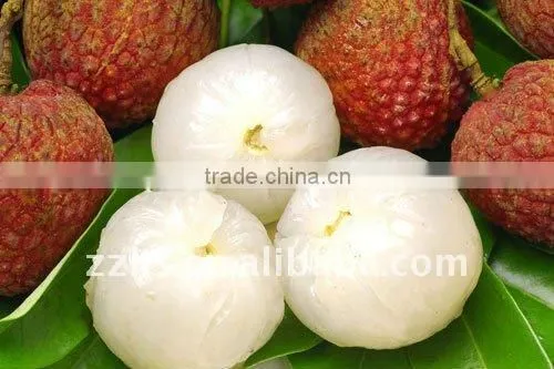 Canned Lychee with Wonderful Pulp and Taste