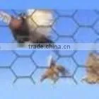 Double Twisted Chicken Wire Mesh of Hexagonal Hole
