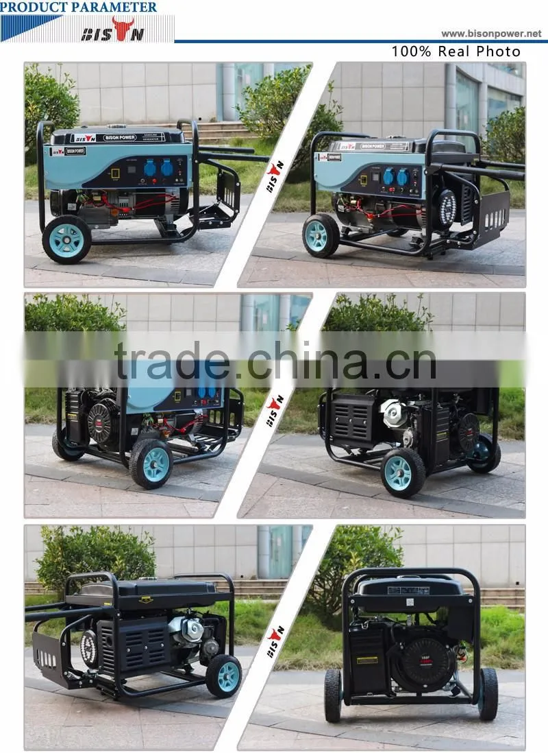 Bison China Taizhou Factory 5KW Gasoline Generator Blue Design