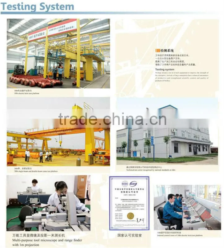 CD/MD Wire Rope Electric Hoist