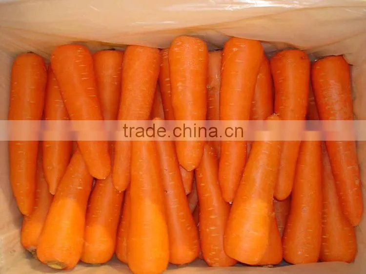 carrots agricultural crops of China