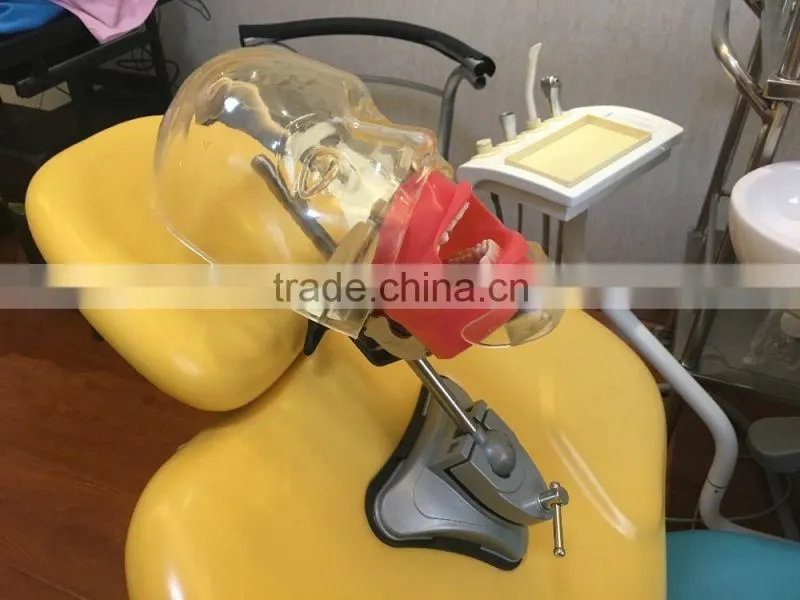 Multifunctional Simple head mold dental model