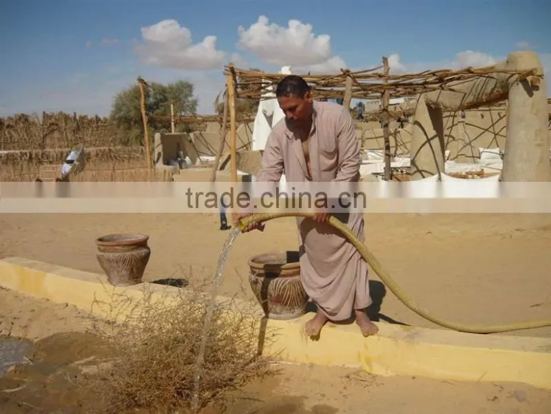 Submersible Solar Water Pump for Irrigation (440W,20M head)