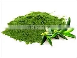 ALOE VERA POWDER FOR AYURVEDIC REMEDY