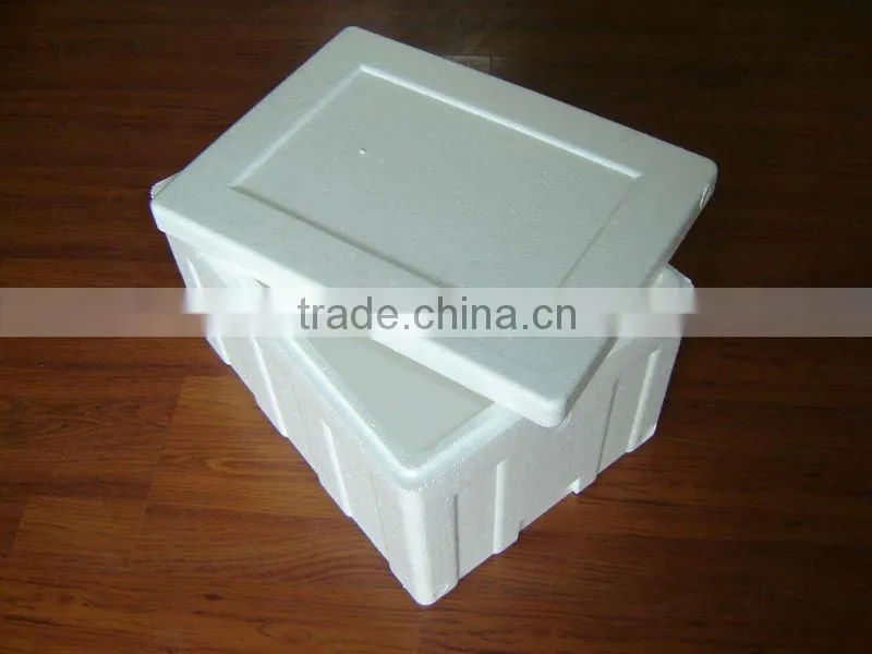 EPS Machine Leading Manufacturer in China