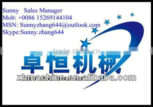 Stainless Steel Automatic Continues Fryer machine