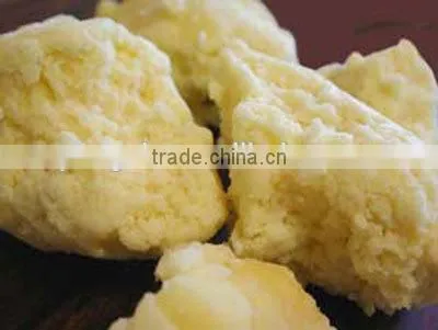 Full continuous shea nut oil mill machine with CE certificate