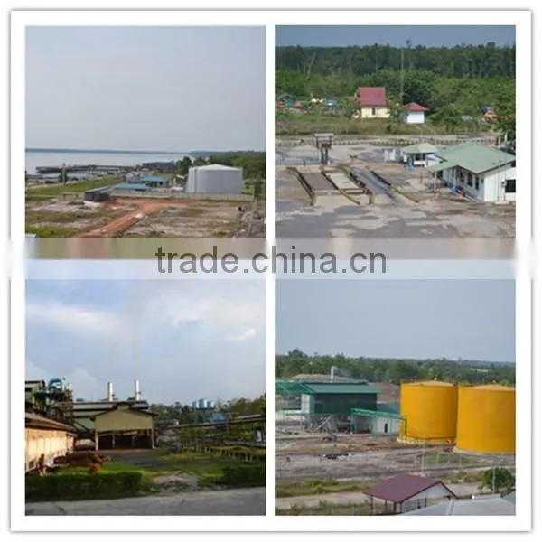 ISO 9001 palm kernel soybean oil extraction machine