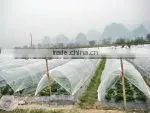 anti-aging agricure film