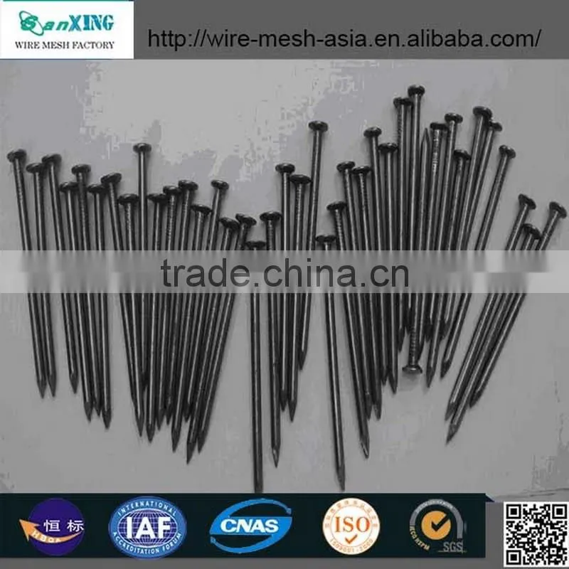 Sanxing common nail one of biggest manufacturer in Anping