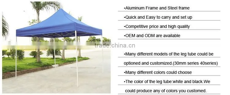 inflatable advertising tent/Buble tent with canopy