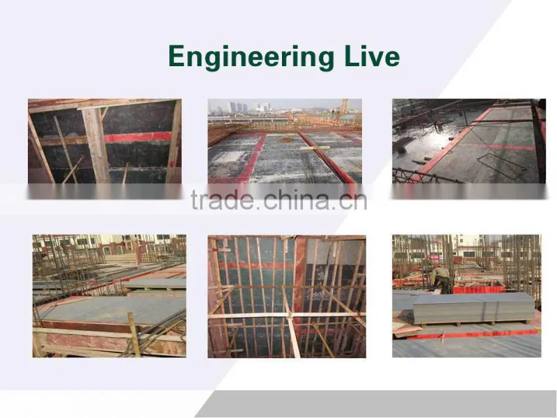 Poplar plastic supply construction shuttering