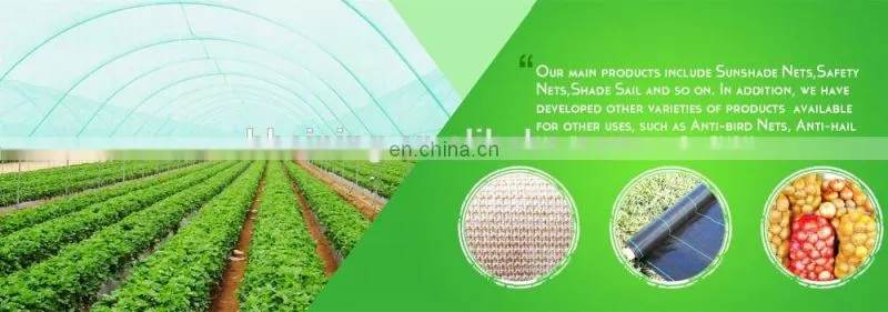 40*40,3*50 m Insect proof mesh nylon insect net
